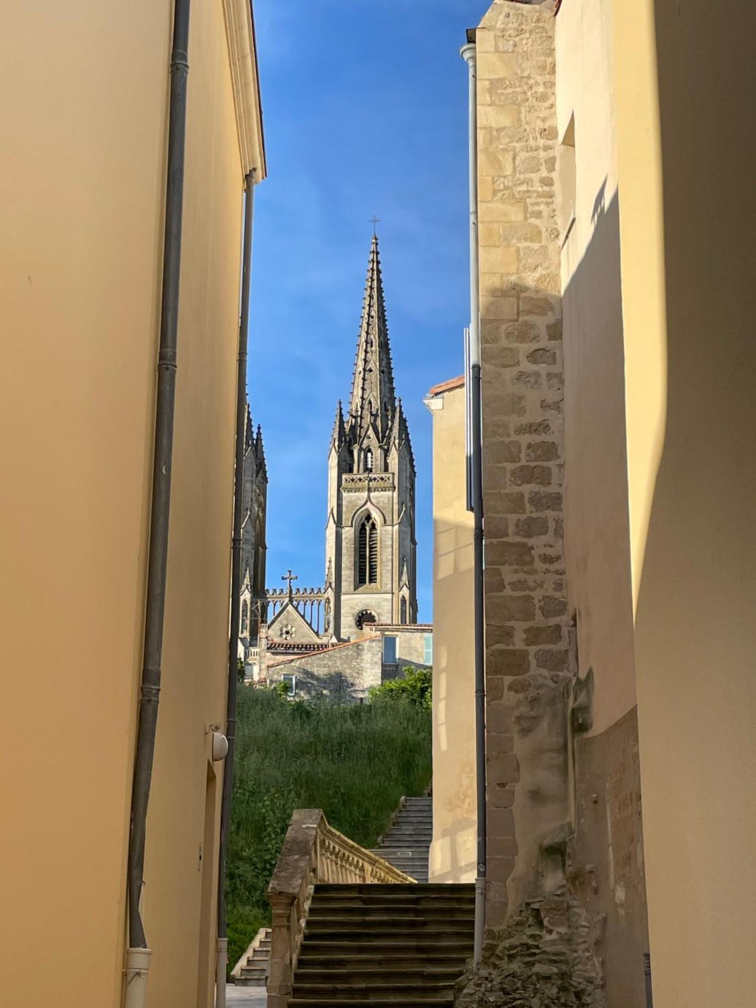 Chez Jean-Yves Et Zoe - La Dolce Vita - Au Calme, Tres Propre, Proche Parkings Niort Bagian luar foto