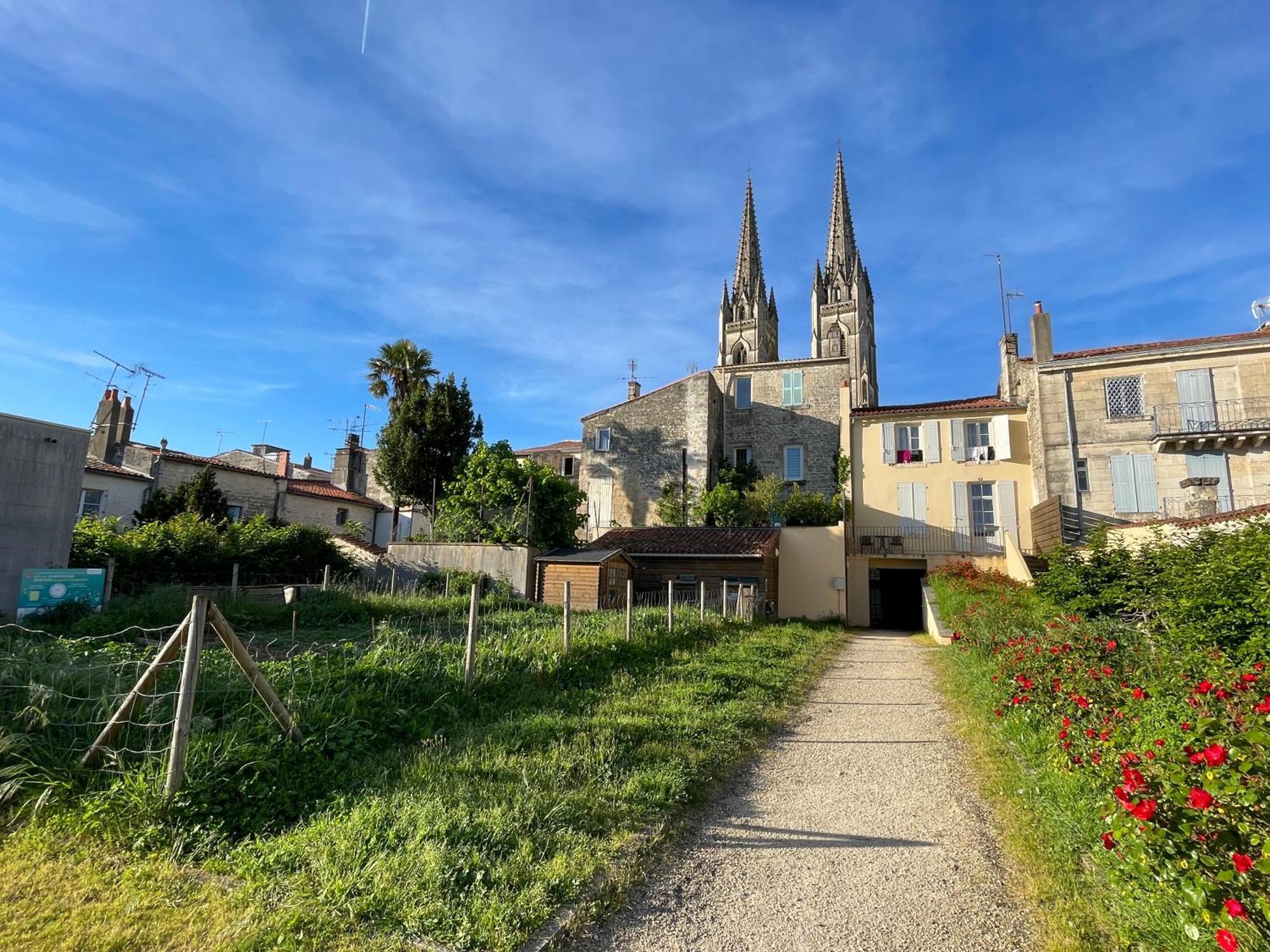 Chez Jean-Yves Et Zoe - La Dolce Vita - Au Calme, Tres Propre, Proche Parkings Niort Bagian luar foto